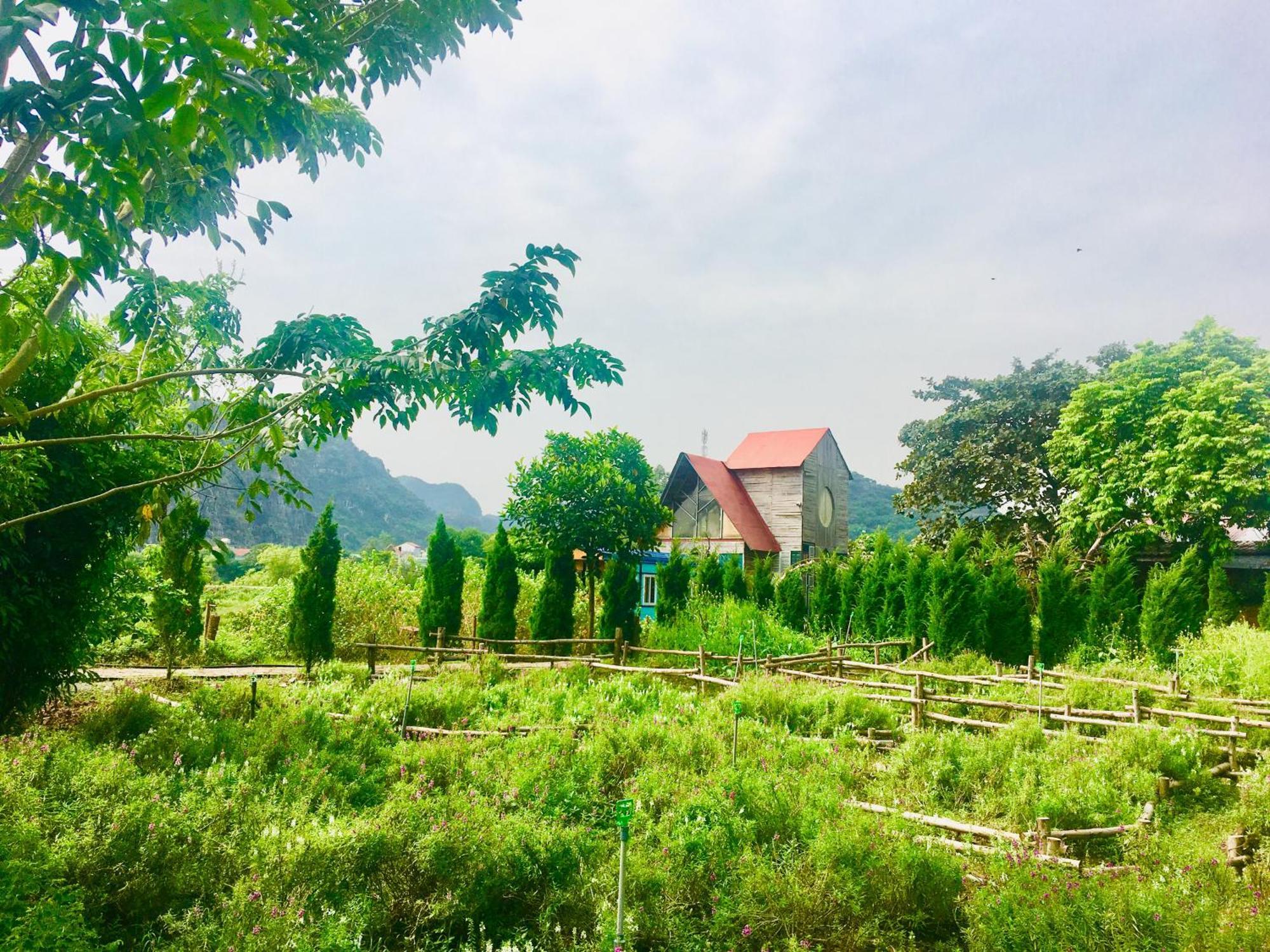 Hotel Trang An Secret Garden Ninh Binh Zewnętrze zdjęcie